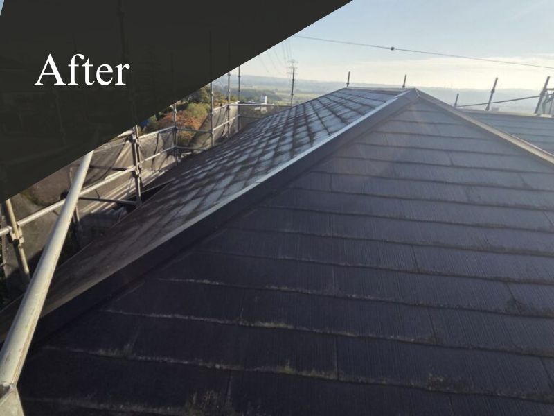 名称未設定のデザイン (1)